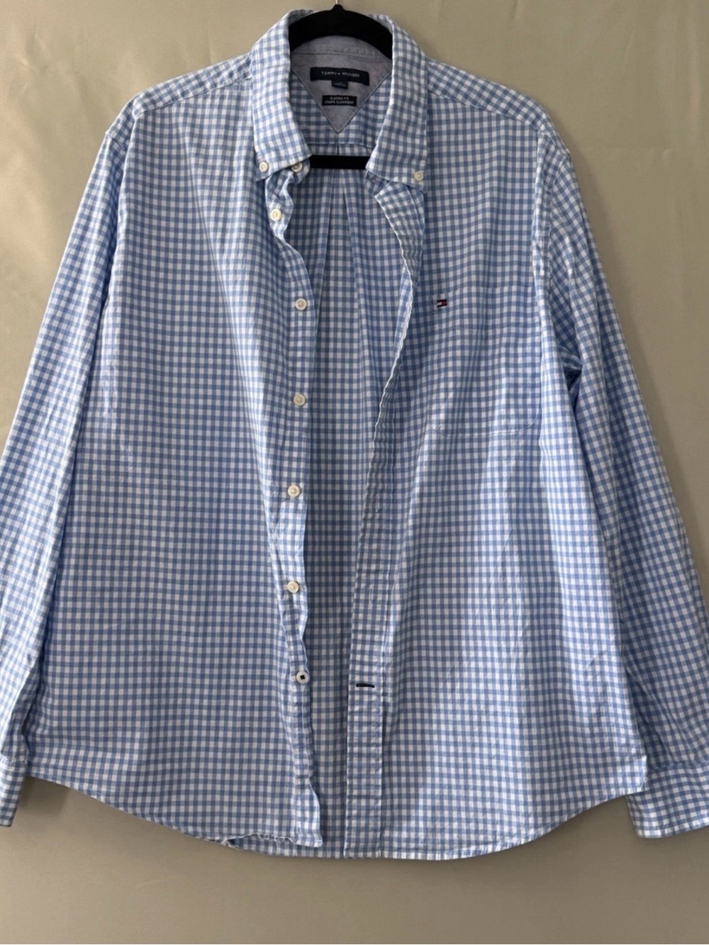Tommy Hilfiger Men’s Blue and White Gingham Button-Down Shirt